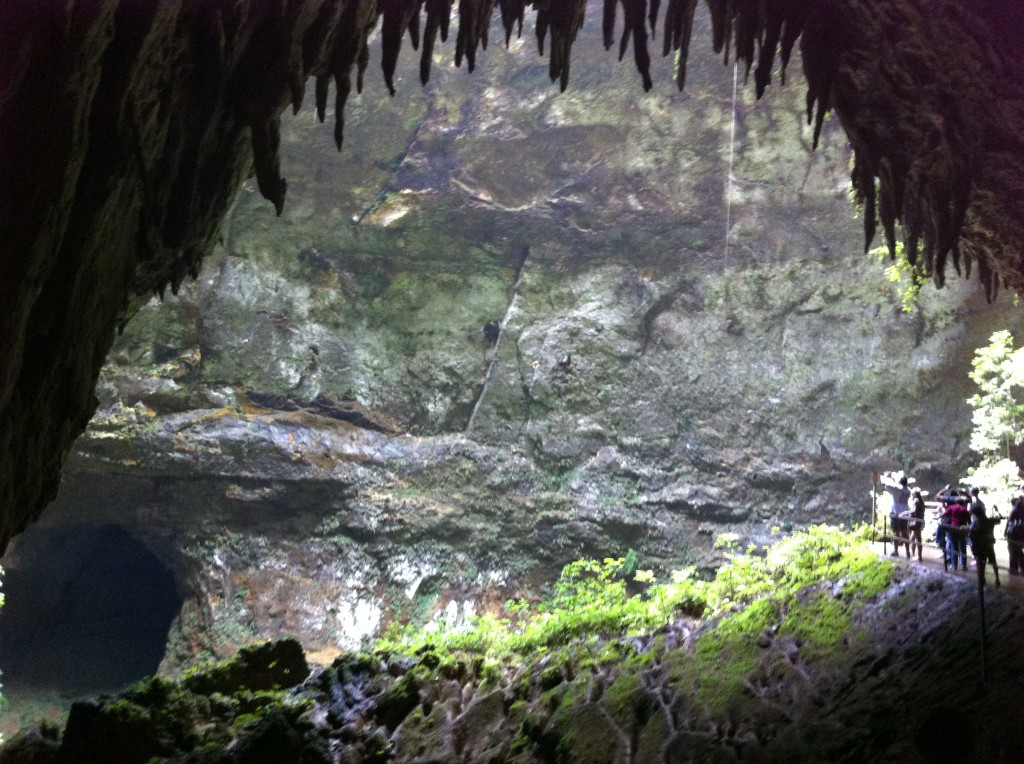 Camuy caves