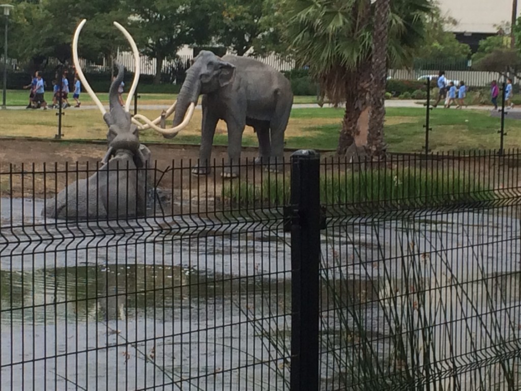 La Brea Tar Pits