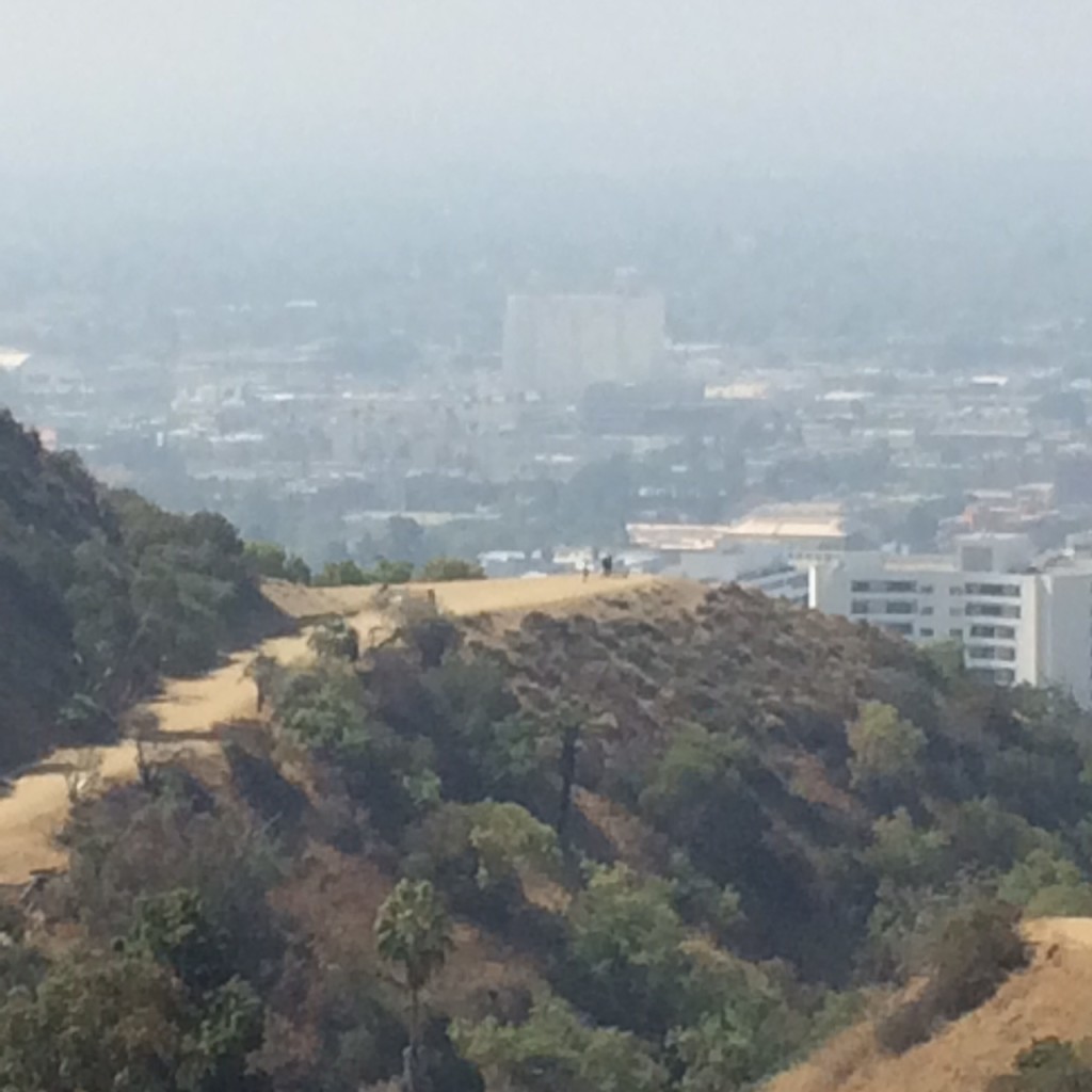 From the top of Runyon Canyon