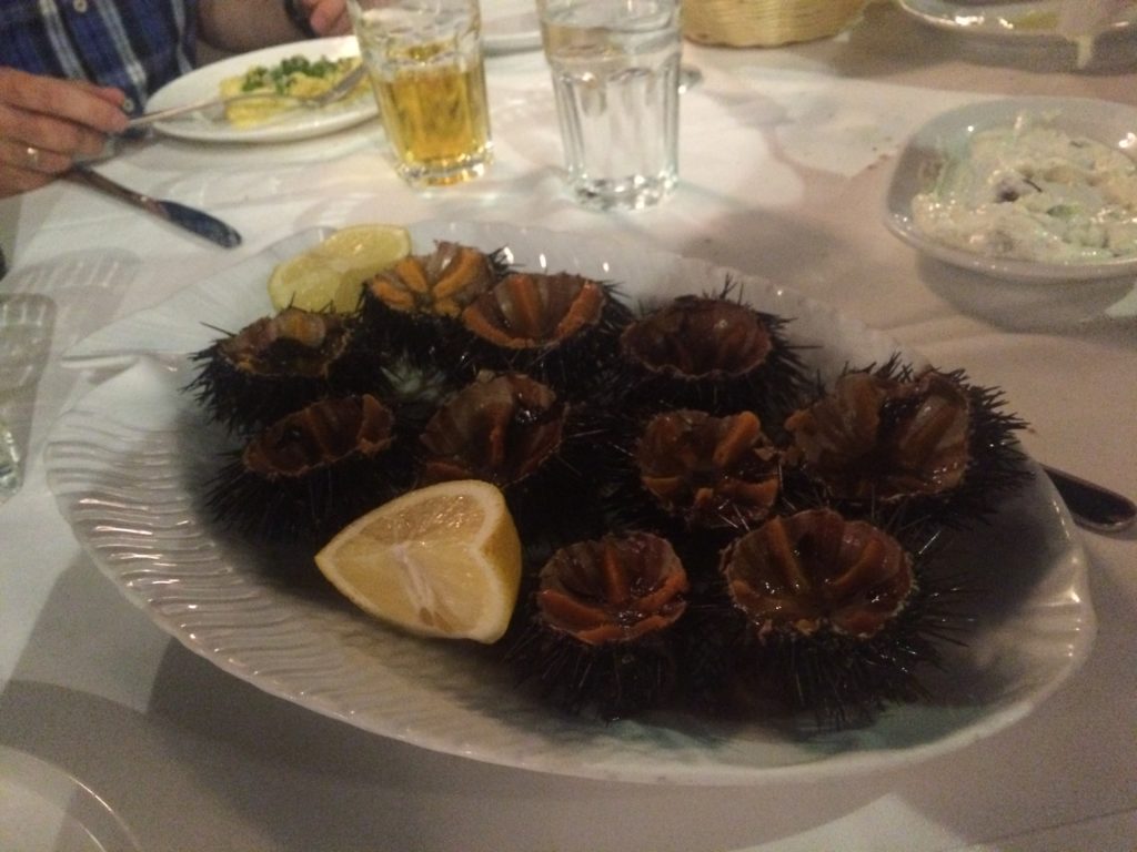 Sea urchin