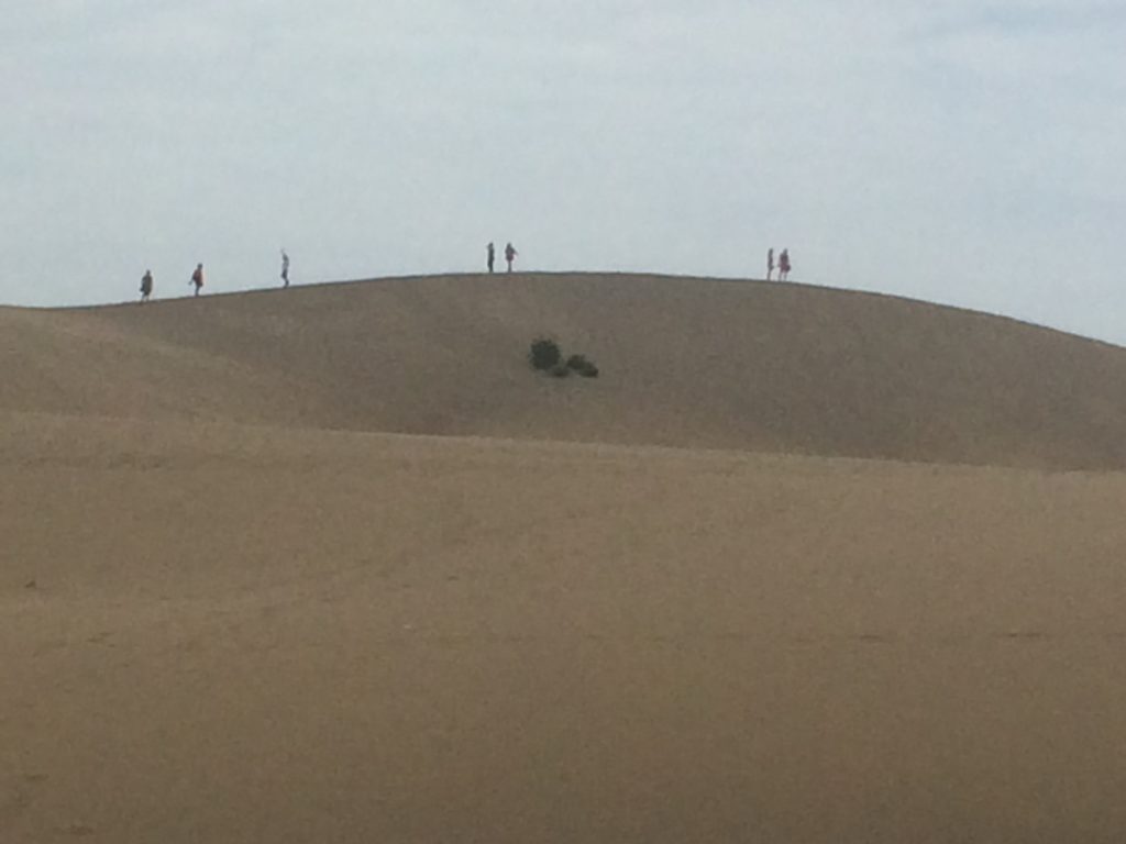 Maspalomas Dunes