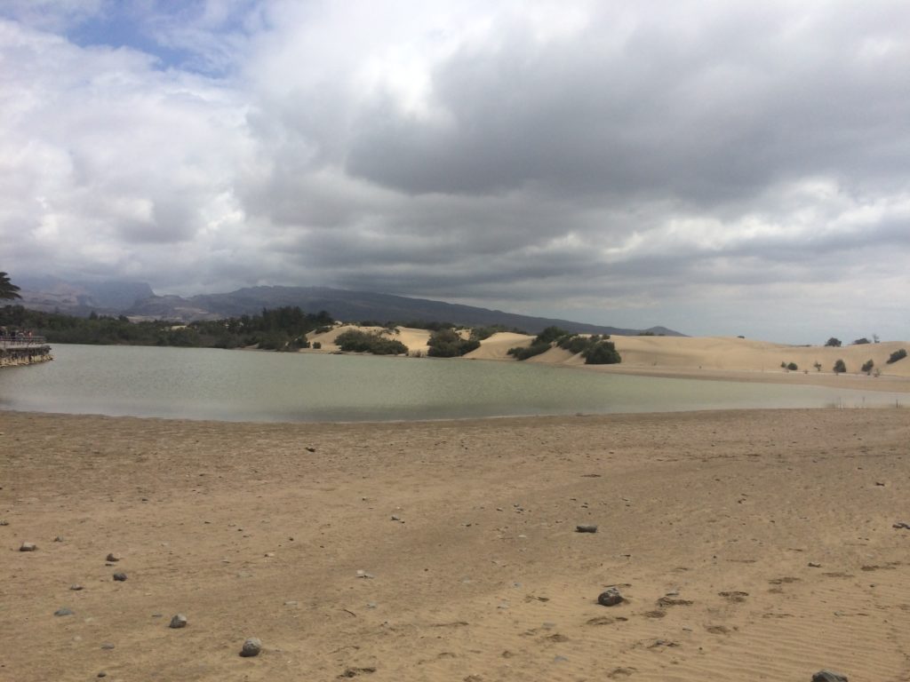 Maspalomas Dunes